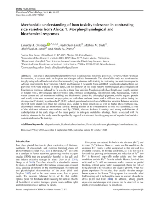 FP18129.pdf.jpg