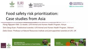 FS risk prioritization.png