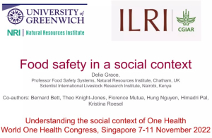 FS social context.jpg