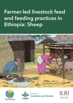 Farmer-led livestock feed and feeding practices in Ethiopia: Sheep