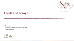 Feed and Forage_2024.pdf.jpg
