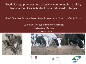 Feed storage practices and aflatoxin contamination.pdf.jpg