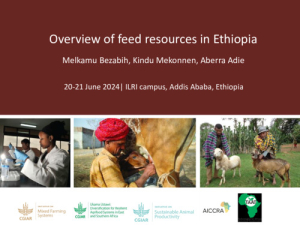 Feed_resources _2024.pdf.jpg