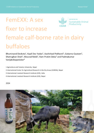 FemEXX_dairy buffaloes.pdf.jpg