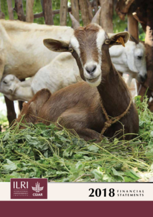 FinacialReport2018.pdf.jpg