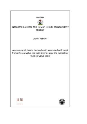 Final Report - Nigeria Meat Chain Study-ILRI.pdf.jpg