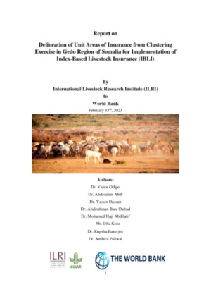 Final Report to WB on GedoRegion-Somalia.pdf.jpg