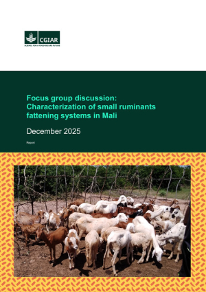 Focus_Group_Discussion_Report_SAAF_Mali.pdf.jpg
