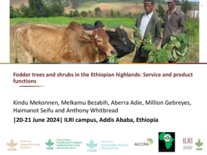 Fodder trees_2024.pdf.jpg