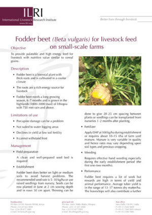 Fodderbeet.pdf.jpg