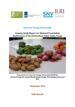 Food Safety_Horticulture Situation Analysis 2019.pdf.jpg