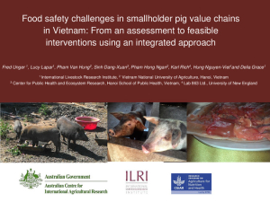 Food safety challenges Vietnam pig value chains.pdf.jpg