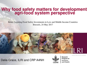 Food safety for development.pdf.jpg