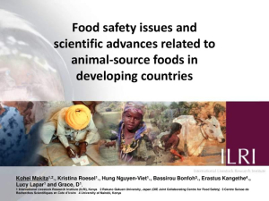 Food safety in developing countries.pdf.jpg