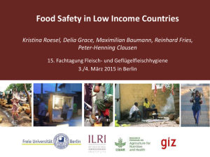 Food safety in low income countries.pdf.jpg