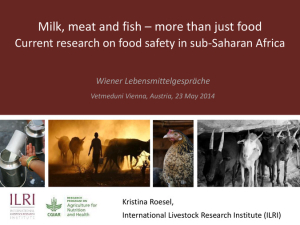 Food safety in sub-Saharan Africa.pdf.jpg