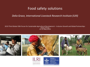 Food safety solutions.jpg