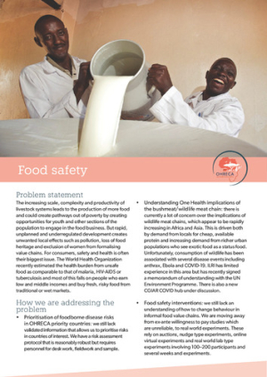Food safety.pdf.jpg