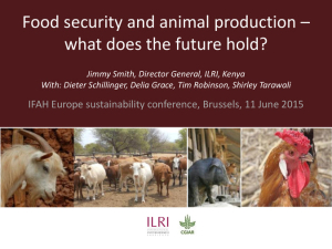 Food security and animal production.pdf.jpg