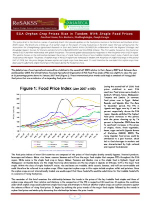 Food-Price-Crisis-update-3.pdf.jpg