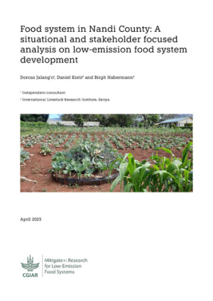 FoodSystemNandiCountrySituationAnalysis.pdf.jpg