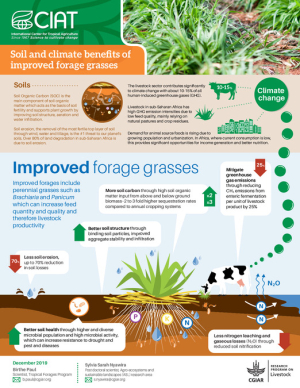 Foragaes Factsheet_A4_v5.pdf.jpg