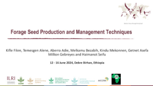 Forage Seed Production Techniques (2024).pdf.jpg