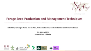 Forage Seed Production Techniques_2025.pdf.jpg