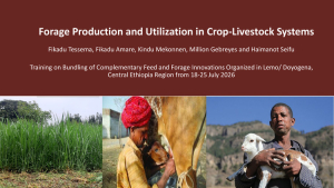 Forage production_Presentation_2026.pdf.jpg Forage production_Presentation_2026.pdf.jpg
