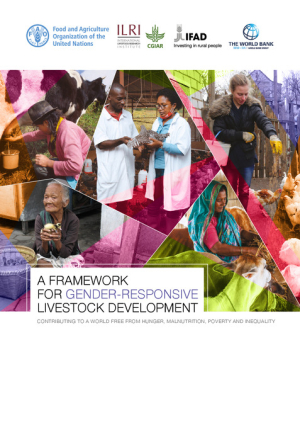 Framework_fao_ilri_ifad_WB.pdf.jpg