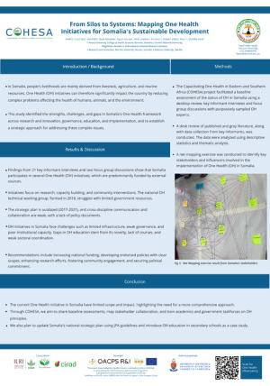From Silos to Systems- Somalia.pdf.jpg