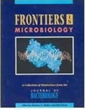 Frontiers_Microbiology.jpg
