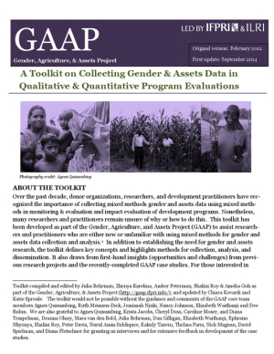 GAAP_Toolkit_Update_FINAL.pdf.jpg
