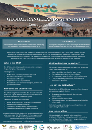 GRS Consultation Brief_One Pager.pdf.jpg GRS Consultation Brief_One Pager.pdf.jpg