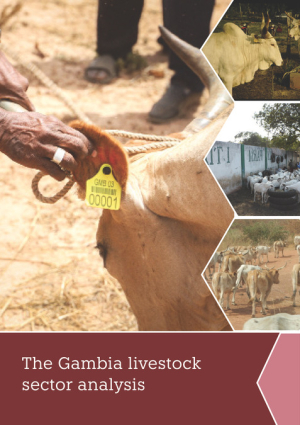 Gambia_LivestockSectorAnalysis.pdf.jpg