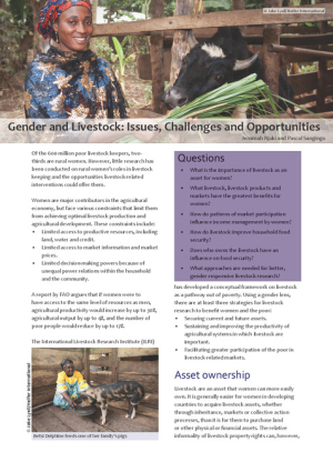 GenderLivestockIssues.pdf.jpg