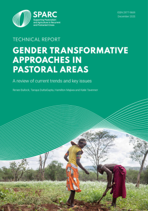 GenderTransformativeApproaches.pdf.jpg