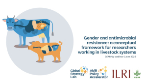 Gender_and_antimicrobial_resistance.pdf.jpg