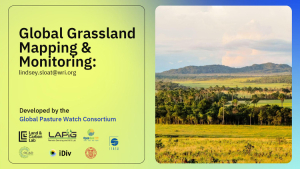 Global Grassland Mapping & Monitoring.pdf.jpg