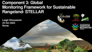 Global Monitoring Framework STELLAR.pdf.jpg