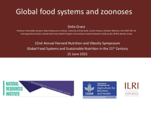 Global food systems zoonoses.jpg