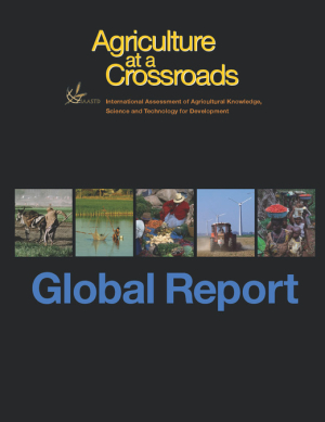 GlobalReport.pdf.jpg
