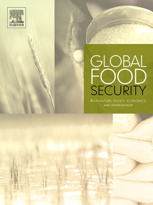 Global_Food_Security.jpg