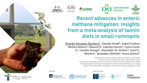 Gonzalez-QuinteroR - Meta-analysis of tannin diets in small ruminants.pdf.jpg Gonzalez-QuinteroR - Meta-analysis of tannin diets in small ruminants.pdf.jpg