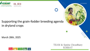 Grain-fodder_2025.pdf.jpg