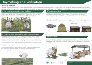 Grass_hay_making.pdf.jpg