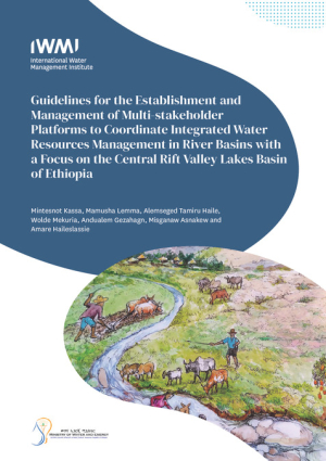 Guidelines for the establishment and management of MSPs to coordinate IWRM in river basins with a focus on the Central Rift Valley Lakes Basin of Ethiopia.pdf.jpg