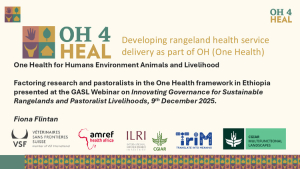 HEAL_Amref Webinar.pdf.jpg