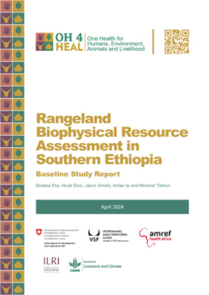 HEAL_BaselineReport.pdf.jpg