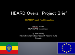 HEARD project brief.png